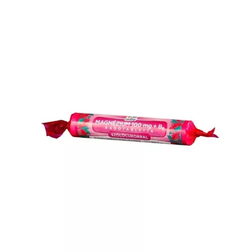 1X1 VITADAY RÁGÓTABLETTA MAGNÉZIUM 100MG + B6 SZŐLŐCUKORRAL MÁLNÁS 17DB